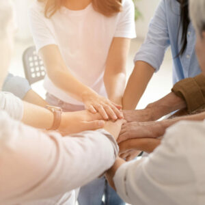 Collectifs d’actions et Comité d’animation