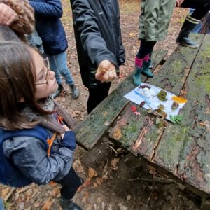 Une vingtaine d&rsquo;explorateurs au rendez-vous de la chasse aux trésors !