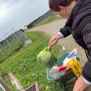 Sortie ferme des Authieux